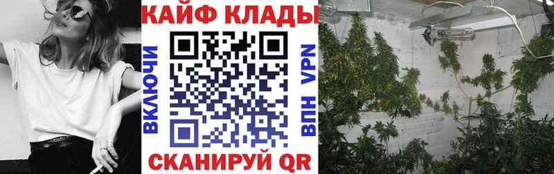 Какие есть наркотики Карабаново ГАШ  MDMA  Альфа ПВП  Галлюциногенные грибы  МЕФ  АМФЕТАМИН  МАРИХУАНА 
