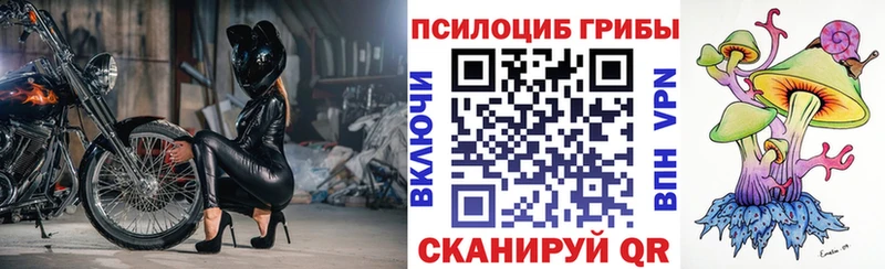 Галлюциногенные грибы Psilocybe Карабаново